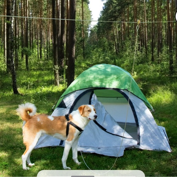 Vibrant life trolley cable - XL 🐾 - Picture 4 of 11